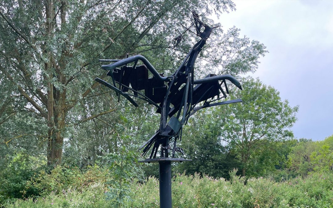 Cormorant by Elizabeth Cooke (2000)