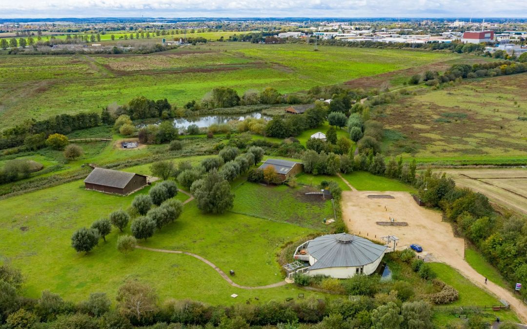 Flag Fen Archaeology Park
