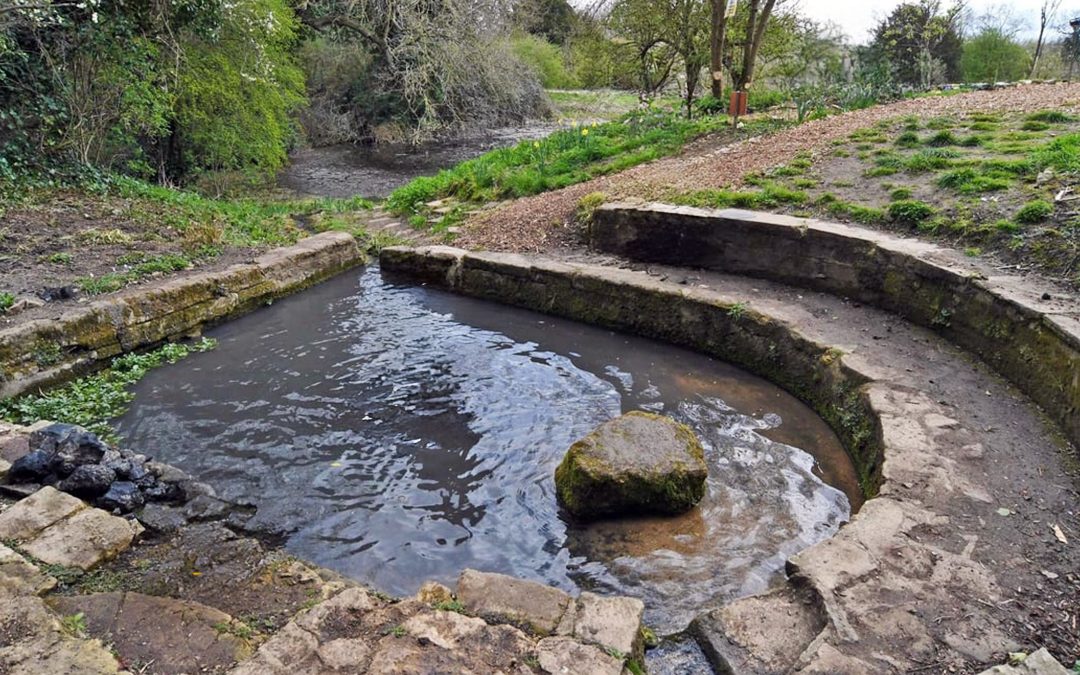 Holywell Ponds