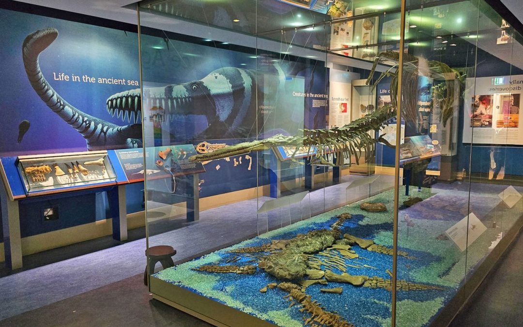 Peterborough Museum & Art Gallery